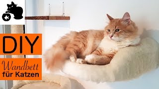 DIY Katzenbett für Wand selber machen  DIY Katzenbett für Kletterwand  Ergänzung DIY Kratzbaum
