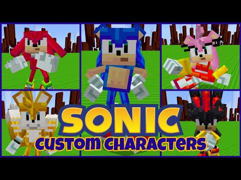 Minecraft Sonic DLC All Characters in Sonic Minecraft 