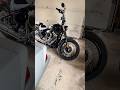 Harley Davidson Street Bob 117 Makes It Home 🤌😎#harleydavidson #streetbob117 #happy
