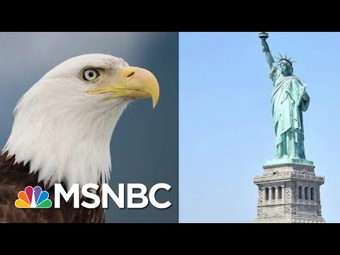 Donald Trump Guts American Dream, Endangered Species Act Both In One Day | Rachel Maddow | MSNBC