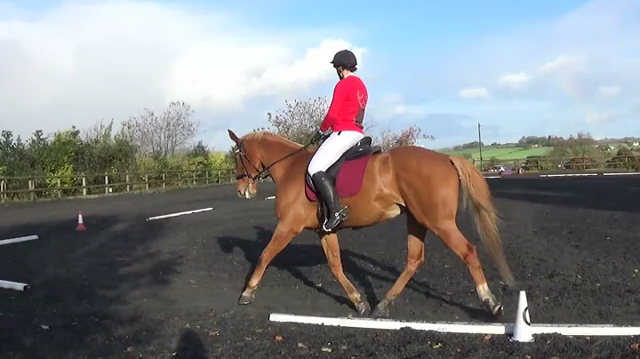 Julie Lees riding Goldquest - BRC Novice D11 (Vale...