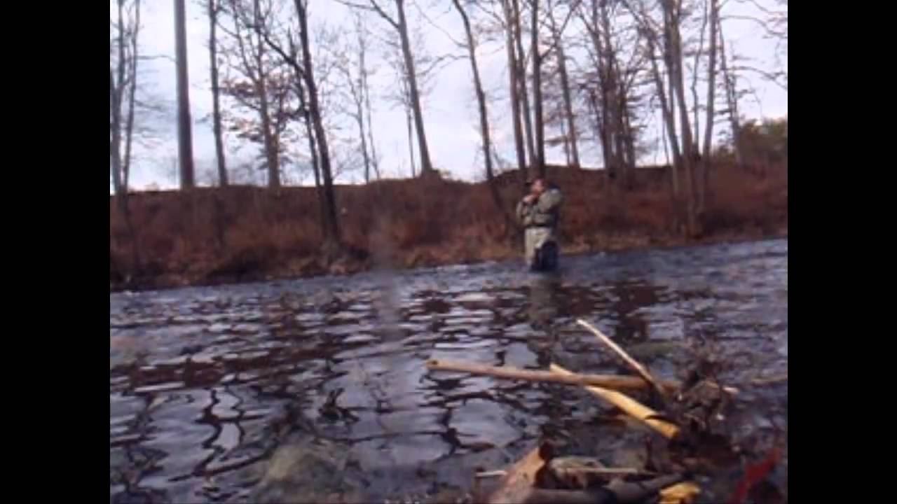 Fly Fishing on the Jackson River in Virginia For Trout YouTube