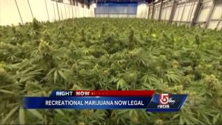 Recreational marijuana now legal in Mass.