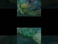 bantu subscribe 🥀 #mobilelegends #gameplay #moments
