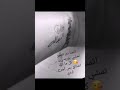 مليت الانتضار اقرو الوصف