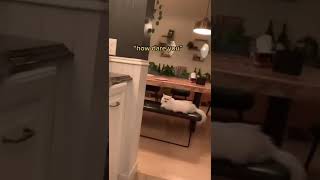 Celebrity We will die alone Net Worth