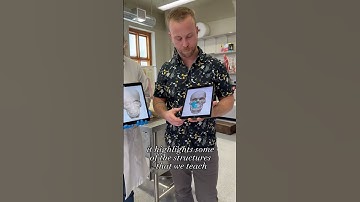 Inside Willamette’s Anatomy Lab