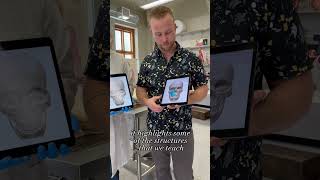 Inside Willamette’s Anatomy Lab