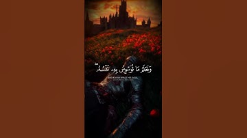 تلاوة خاشعة للشيخ المنشاوي