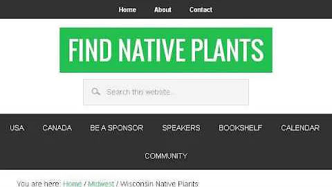 Wisconsin Native Grass And Flowers