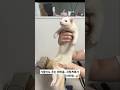 겨울이도 추는 페럿춤..미안해 겨울아..귀찮게해서..😂#deafferret#ferretdance#cute#일상