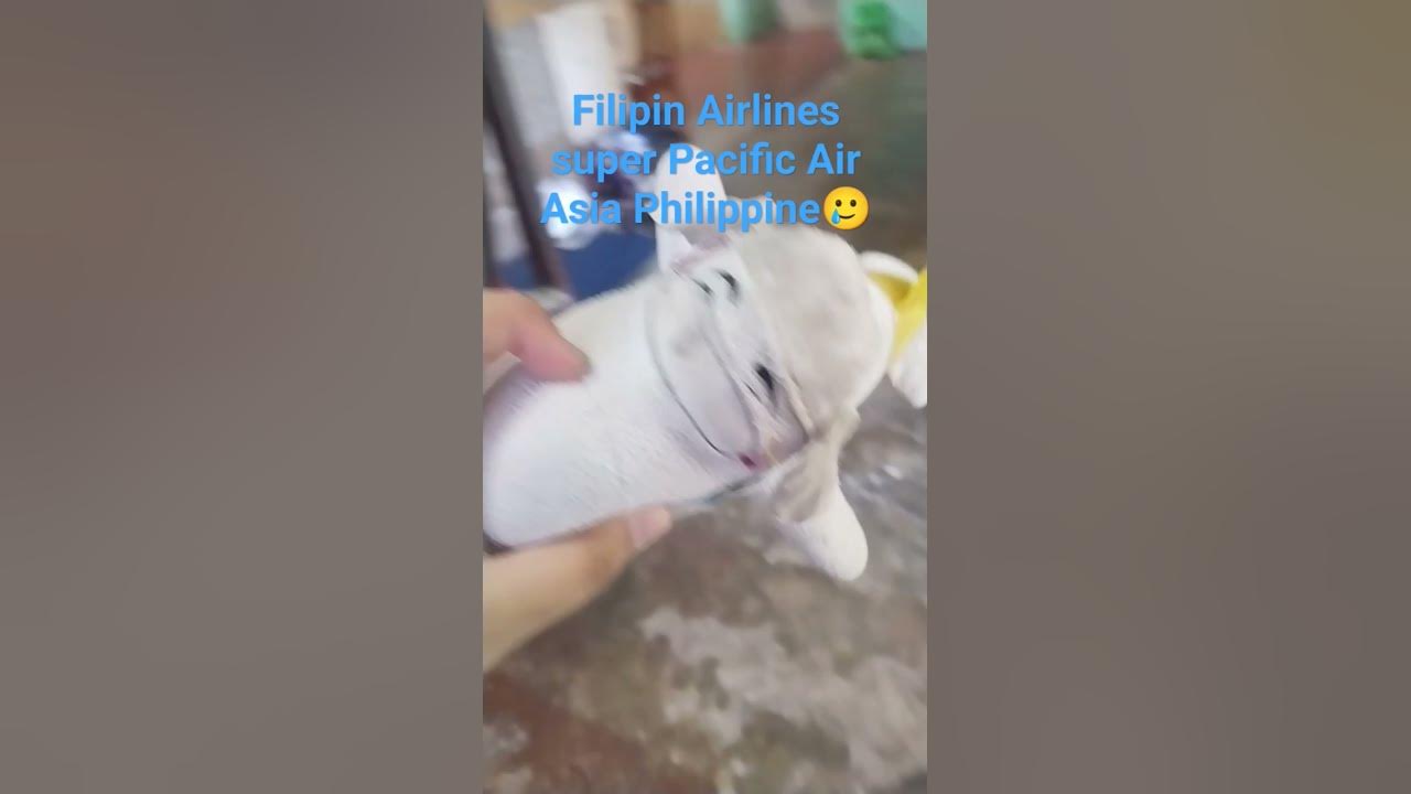 Philippine airlines cebu pacific airasia philippines youtube