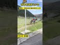 游客偶遇骑马少年,真的太酷了#骑马 #Tourists encounter riding teenagers, it's really cool