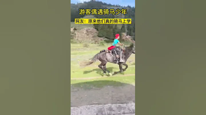 游客偶遇骑马少年，真的太酷了#骑马 #Tourists encounter riding teenagers, it's really cool - 天天要闻