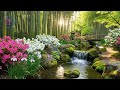 Relaxing Music🌿, Relieve Stress🌿, Anxiety relief🌿, Depression🌿, Calming relaxation🌿, Yoga🌿