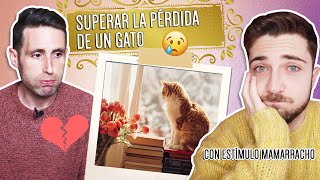 SUPERAR la PÉRDIDA de tu GATO con consejos de un psicólogo | Duelo en gatos con @psicologiayoutube