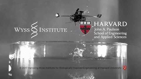 Aerial-Aquatic Microrobot