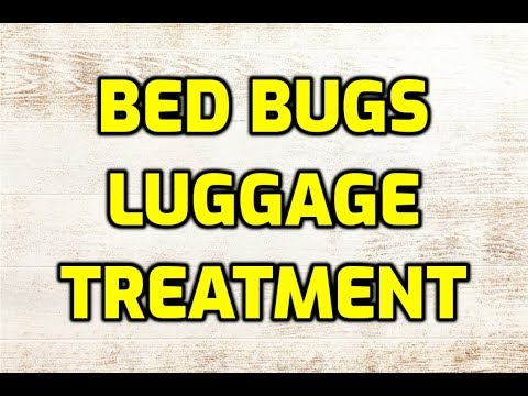 Bed Bugs Luggage Treatment (A Complete Guide)