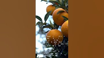 Trái cam và những lợi ích tuyệt vời cho sức khỏe mà bạn chưa biết ? #shorts