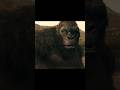 Did You See This? The Secret Titan in Monarch Season 2 #kong