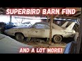 Barn find superbird and so much more