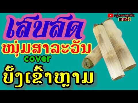 ບັ້ງເຂົ້າຫຼາມ|cover ນ້ອຍ ເພັດມະນີ|บั้งเข้าหลาม|น้อย เพ็ดมะนี|#ໜຸ່ມສາລະວັນ