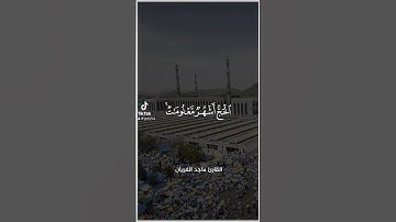 ماجد الفريان - سورة البقرة