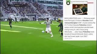 story wa save palestina 30 detik