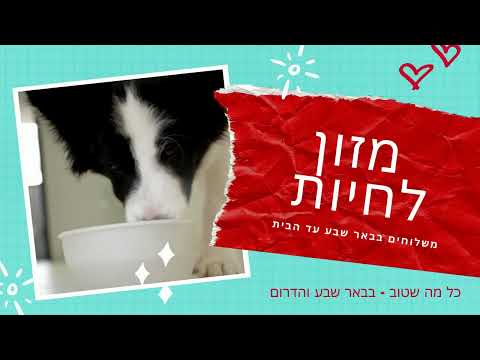 וִידֵאוֹ: מחקר: כמעט מחצית מכל ההורים לחיות מחמד אין להם ציוד בטיחות לרכב לכלבים שלהם