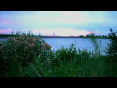 Cloud Under - Memoriam