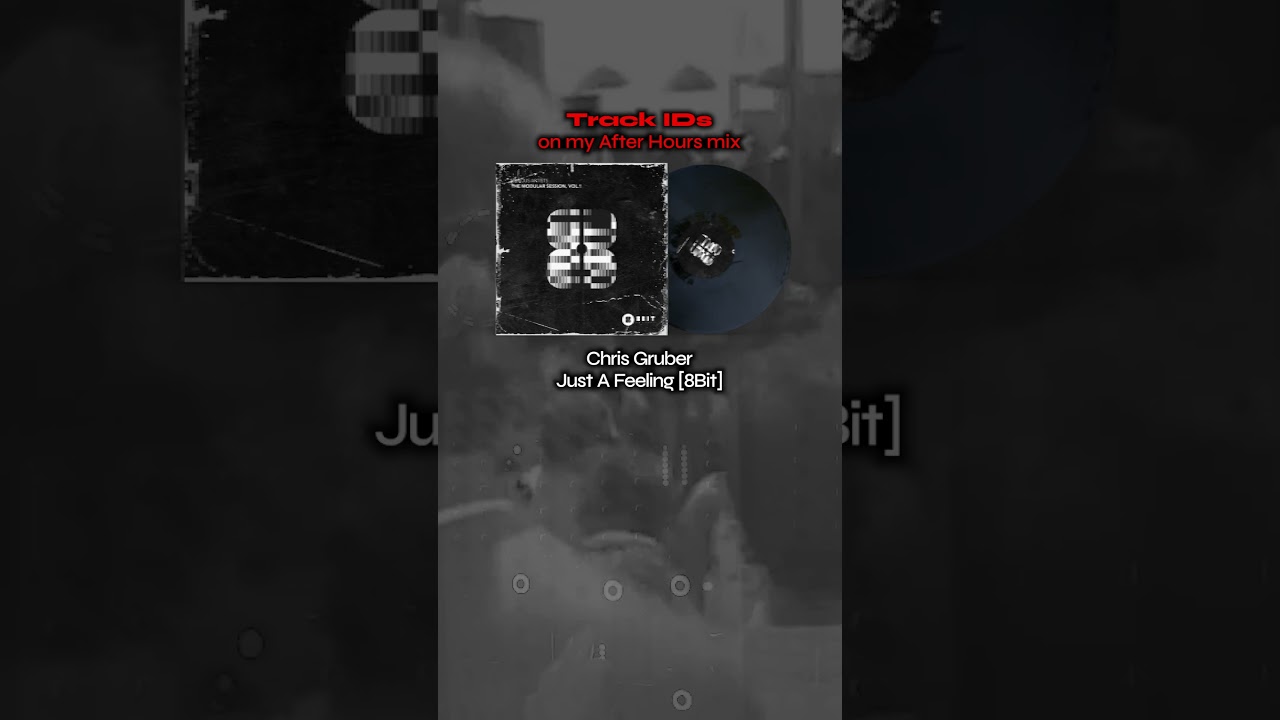 Just A Feeling — Chris Gruber, 8Bit 🌙  #housemix #housemusic
