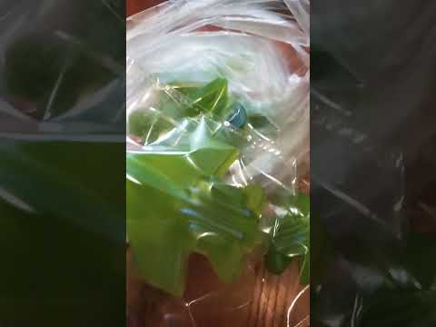 Упаковка штучного мыла