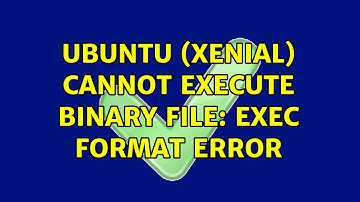 Ubuntu (xenial) cannot execute binary file: Exec format error