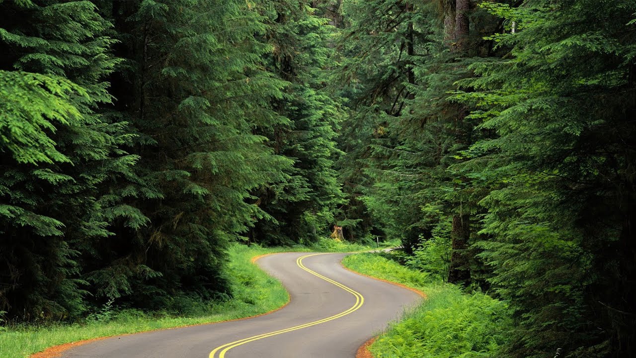 4K Relaxing Ride through the Carpathians 3/4 | [S01E52] #bmwf800gs