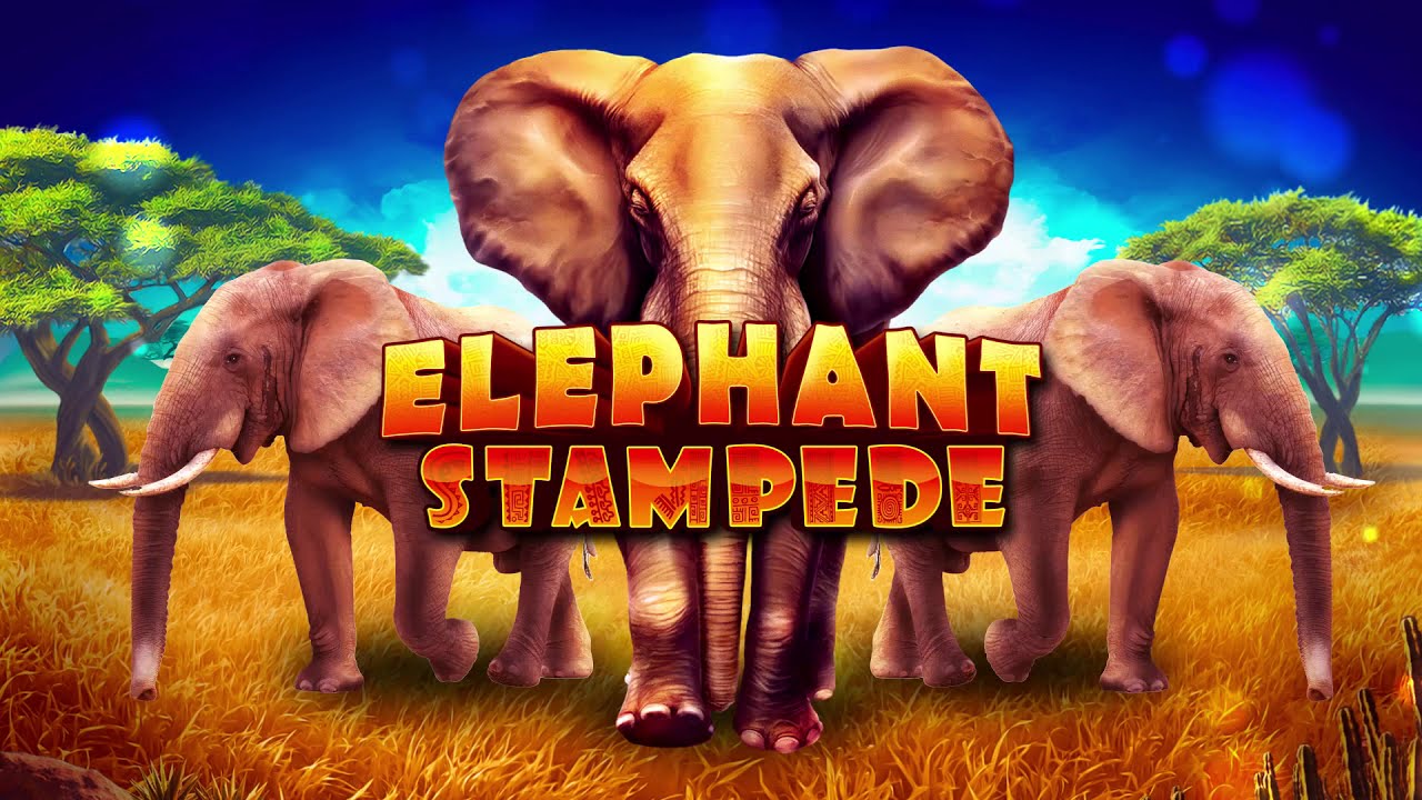Elephant Stampede  Slot Review ▷ FREE PLAY in DEMO mode Ruby Play Games video preview
