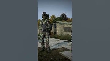 DayZ and AuthPlayerLoginState issue #dayz #AuthPlayerLoginState
