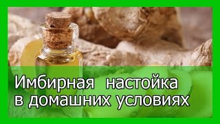 Имбирная настойка в домашних условиях Имбирная настойка в домашних условиях