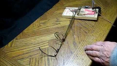 homemade cinch trap gopher