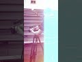 Моя история 2/7 🤘🏼Переходи в био профиля там ссылка на ТГ, где еще больше про путь видеомейкера
