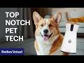 I’ve Tested Hundreds OF Pet Products—This Is My Favorite