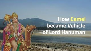 How Camel Became Vehicle Of Lord Hanuman