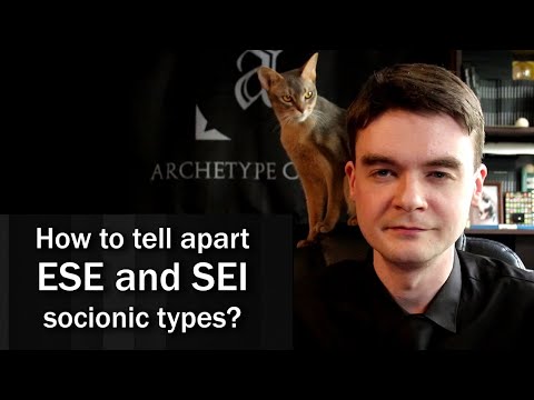 Video: Determination Of Socionic Type From Photographs