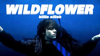 Download Lagu WILDFLOWER - Billie Eilish / with Lyrics MP3