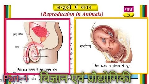 class 8 science chapter 5 jac board | जंतुओं में जनन |