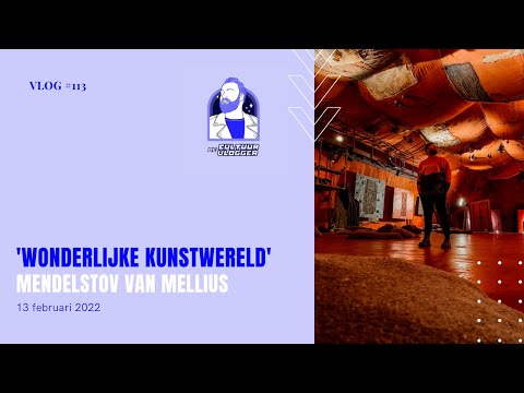 DUIK IN DE BIJZONDERE WERELD VAN KUNSTENAAR MELLIUS • CULTUURVLOG #113