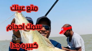 صيد سمك بلطى وبياض من السودان