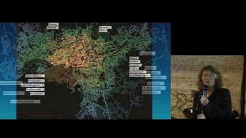 130919 P09 Akke van Nes