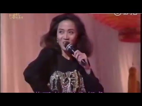 1993減災扶貧創明天之梅艷芳 譚詠麟串燒 1993 Disaster Poverty Relief Charity Show Anita Mui Alan Tam Medley