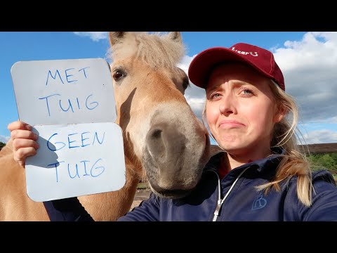 Video: Dus jij denkt dat je het verkeerde paard hebt gekocht?