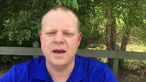 CSI Auto Bridge Video